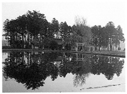 神社の池